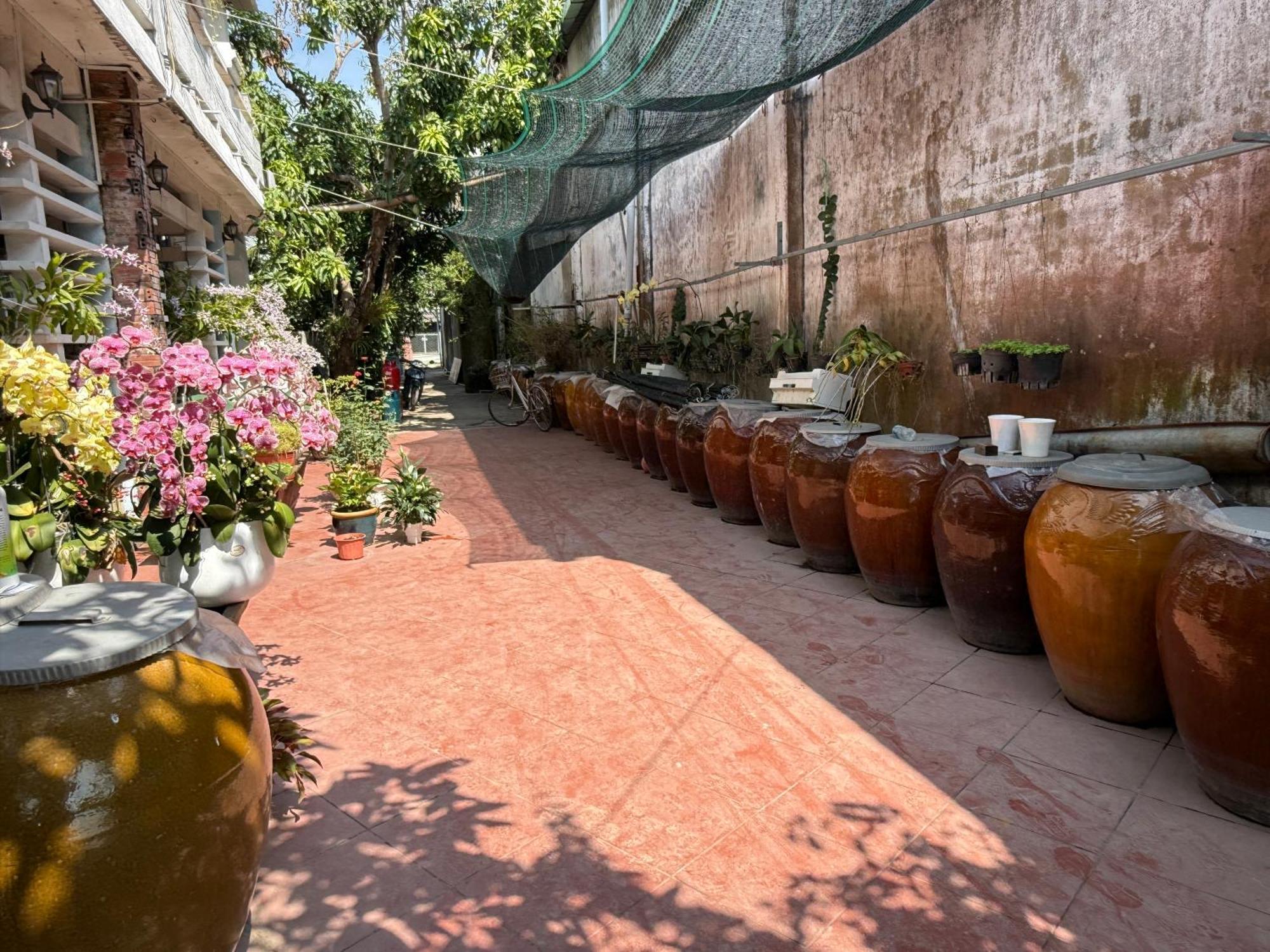 Island Homestay Tien Giang Mỹ Tho Exterior foto