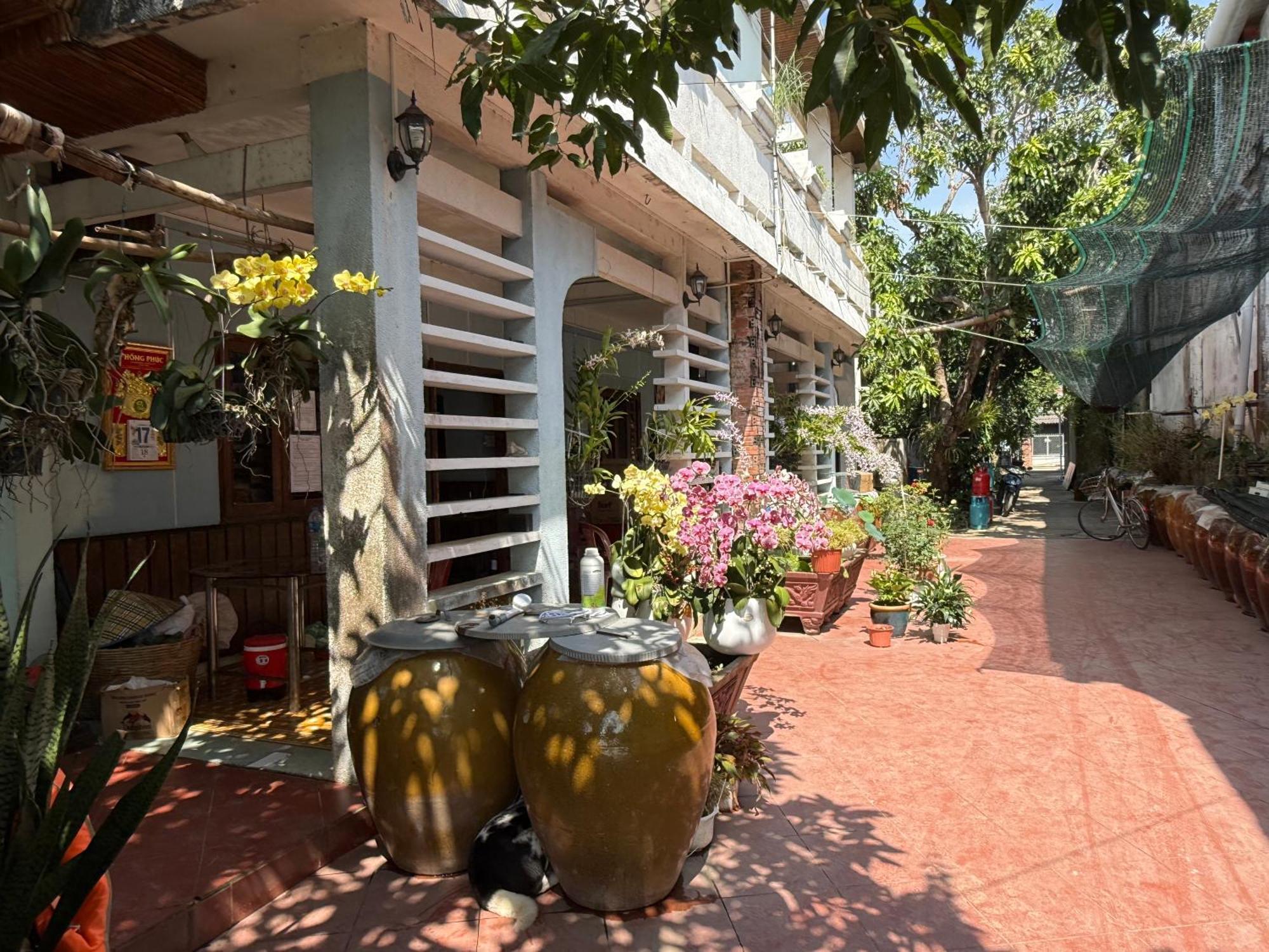 Island Homestay Tien Giang Mỹ Tho Exterior foto